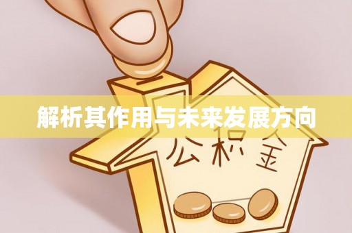 宜阳解析其作用与未来发展方向